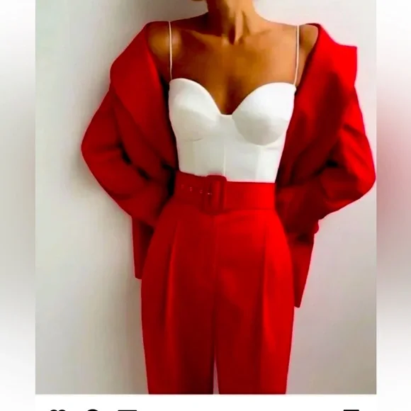 NWT Zara pants. Bloggers favorite - Picture 1 of 16